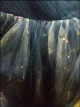 Review photo 2