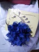 Review photo 1