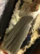 Review photo 1