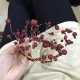 Review photo 1