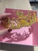 Review photo 1