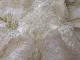 Review photo 3