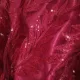Review photo 2