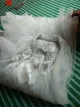 Review photo 1