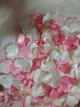 Review photo 5