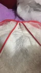 Review photo 3