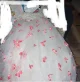 Review photo 2