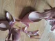 Review photo 3