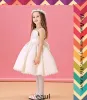 Weiß-blumenmädchenkleid Spitzenrock Prinzessin Kleid Kommunionkleider